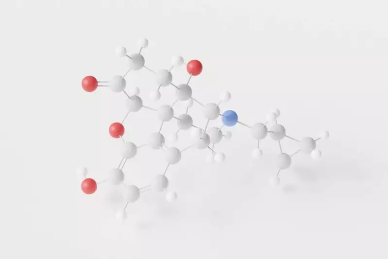 naltrexone molecule