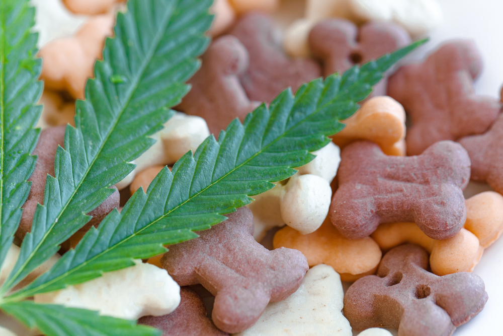 dog treats with cannabis leaf